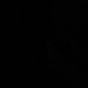 Meet your Posher, Charles